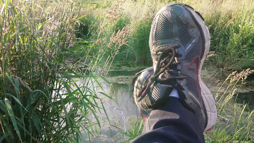 Park «Valley View Park», reviews and photos, 5575 Ozark Avenue North, Oak Park Heights, MN 55082, USA