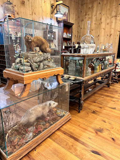 Explore tiger shark tattoo ideas, creative tattoo ideas in Sevierville, available at Jaded Art Collective