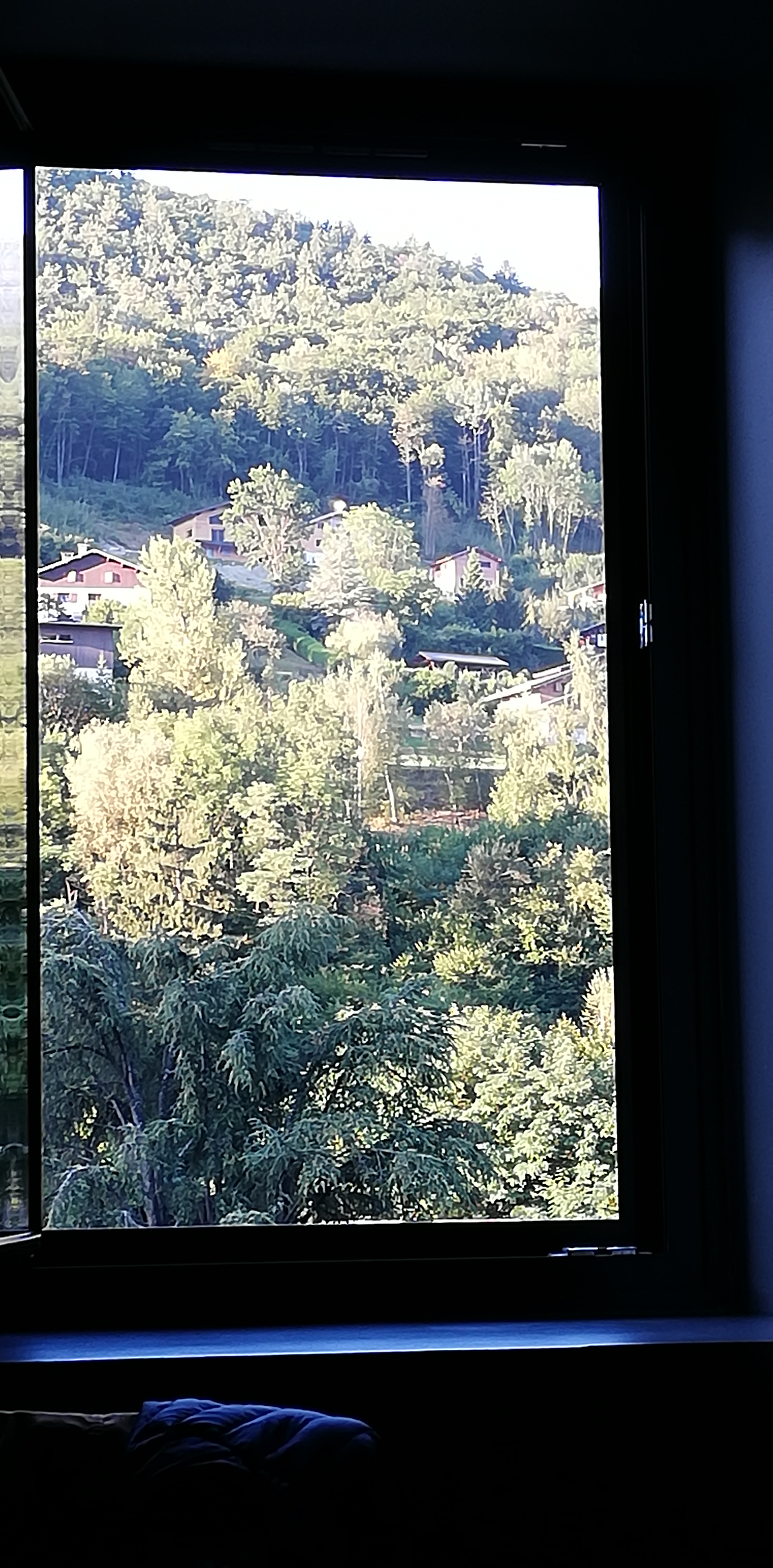 Photo n° 2 de l'avis de Frédérique.I fait le 03/10/2021 à 06:53
