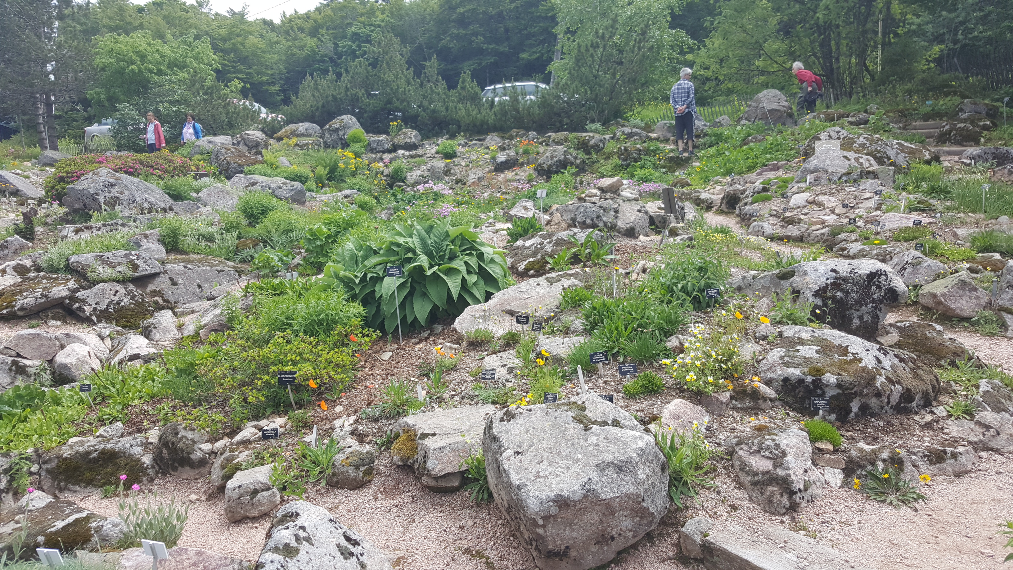 Photo n° 5 de l'avis de Jean-Sébastien.O fait le 23/06/2019 à 16:49