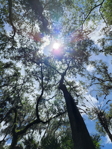 Park «Lithia Springs Park», reviews and photos, 3932 Lithia Springs Rd, Lithia, FL 33547, USA