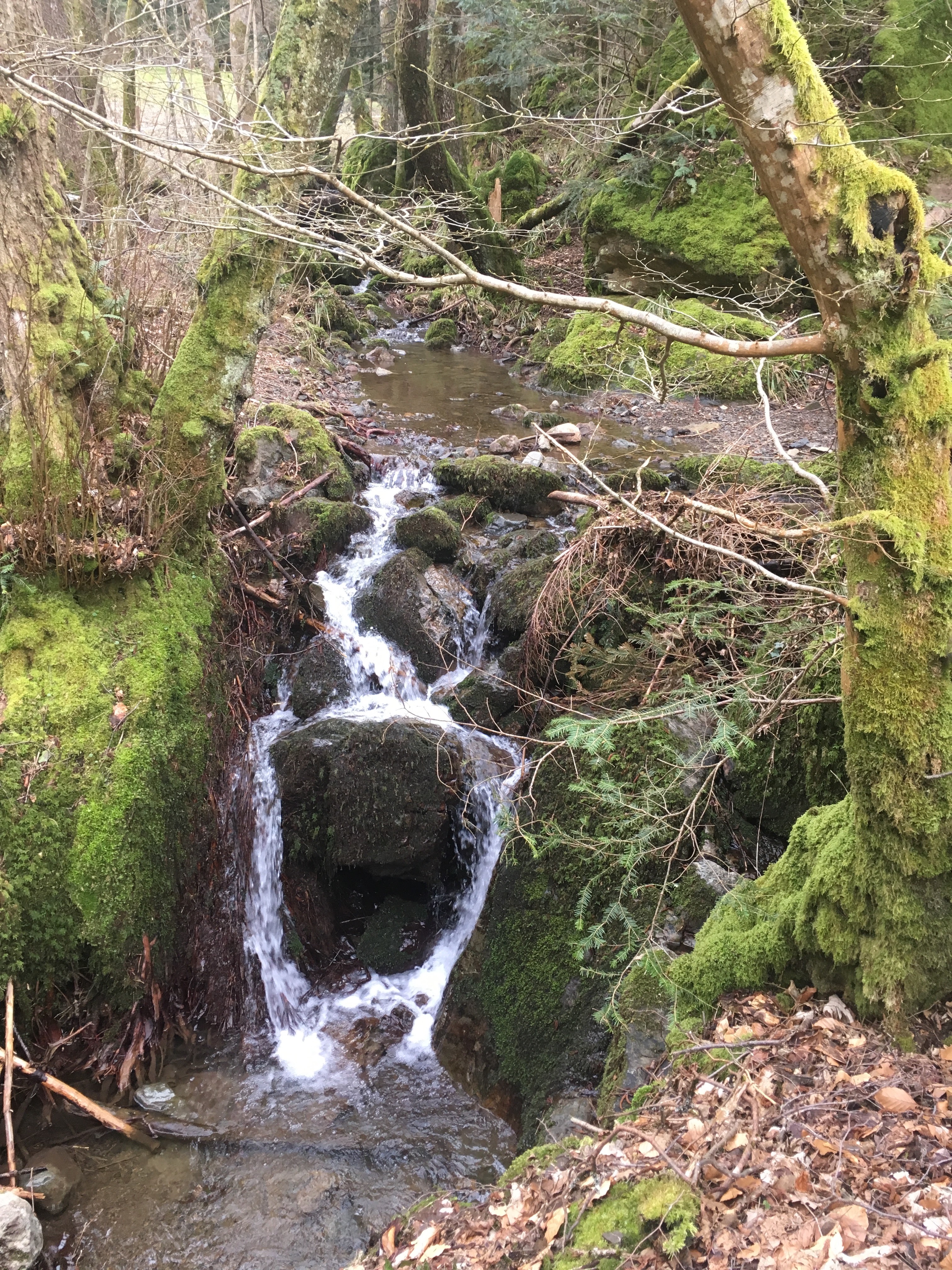 Photo n° 2 de l'avis de Damaris.u fait le 05/04/2018 à 19:32