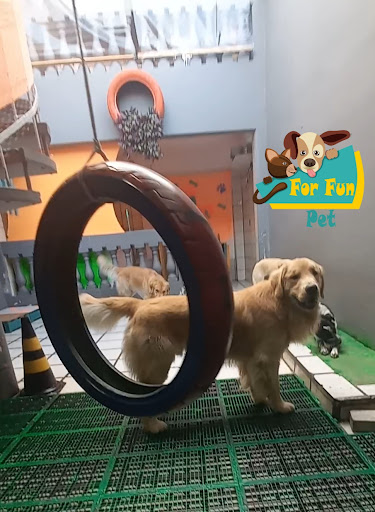 Logo da empresa - For Fun Pet