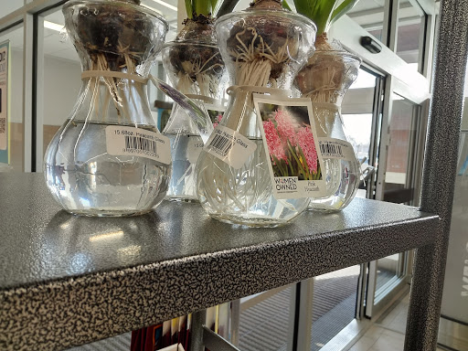 Supermarket «ALDI», reviews and photos, 400 Doylestown Rd, Lansdale, PA 19446, USA