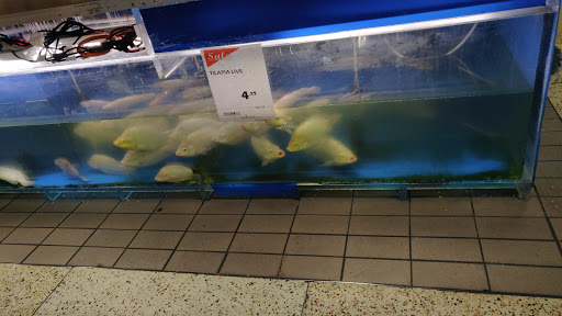 Grocery Store «New Grand Mart», reviews and photos, 6326 Arlington Blvd, Falls Church, VA 22042, USA