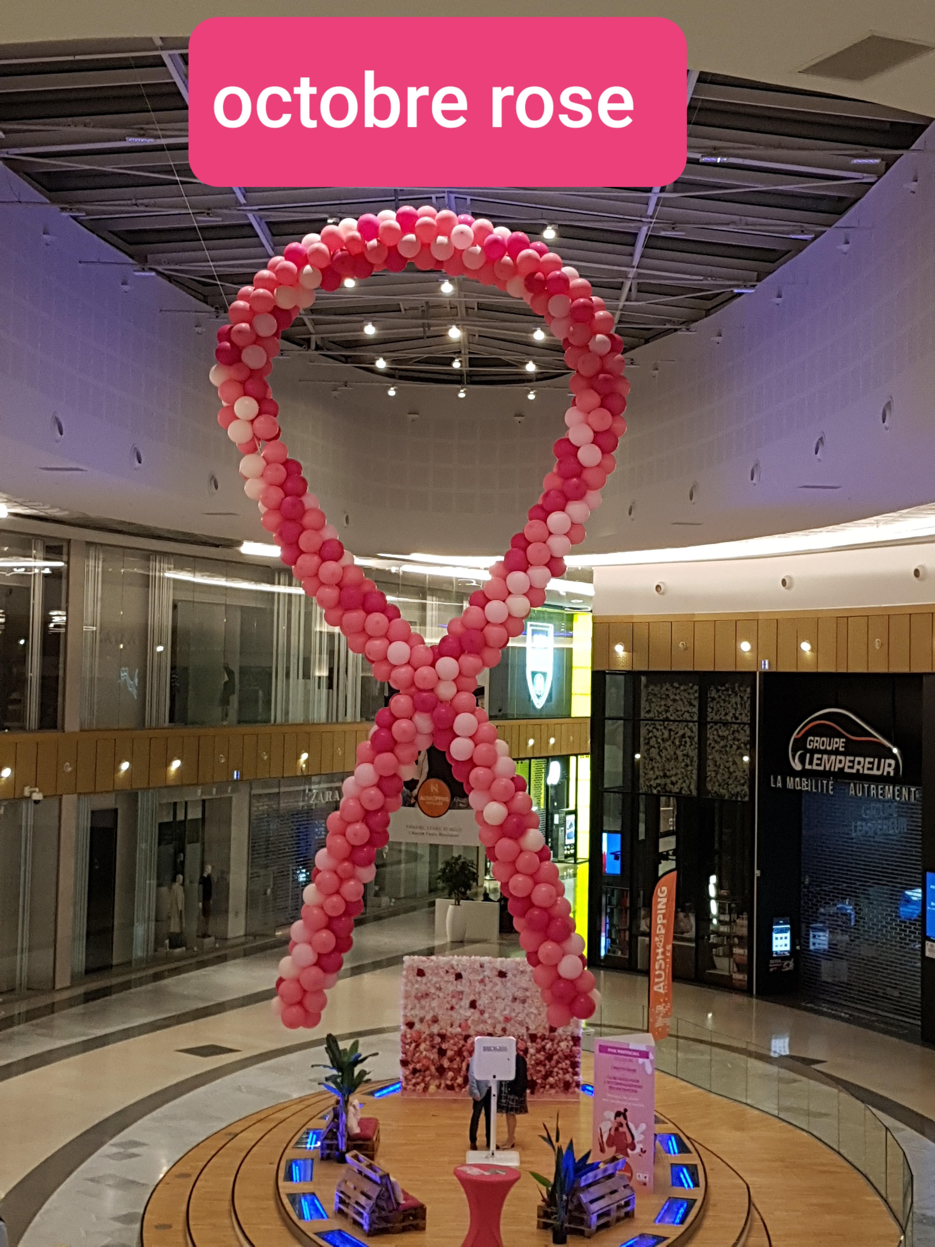 Photo n° 1 de l'avis de Marierose.o fait le 28/12/2016 à 18:22