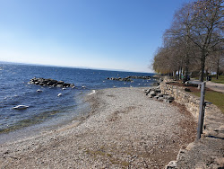 Plage des Jeunes Rives'in fotoğrafı imkanlar alanı