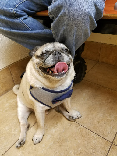 Pet Supply Store «PetSmart», reviews and photos, 4749 Valley View Blvd NW, Roanoke, VA 24012, USA