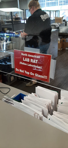 Camera Store «Roberts Camera», reviews and photos, 220 E St Clair St, Indianapolis, IN 46204, USA