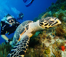 Dressel Divers Cancún/ Scuba Diving Mexico / Scuba Diving Cancun photo
