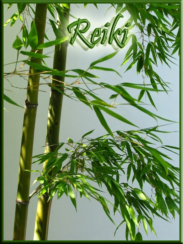 Centro Reiki Albacete, Asociacion de Maestros de Reiki