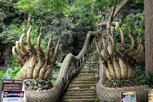 Wat Tham Pla (Fish Cave Temple) image
