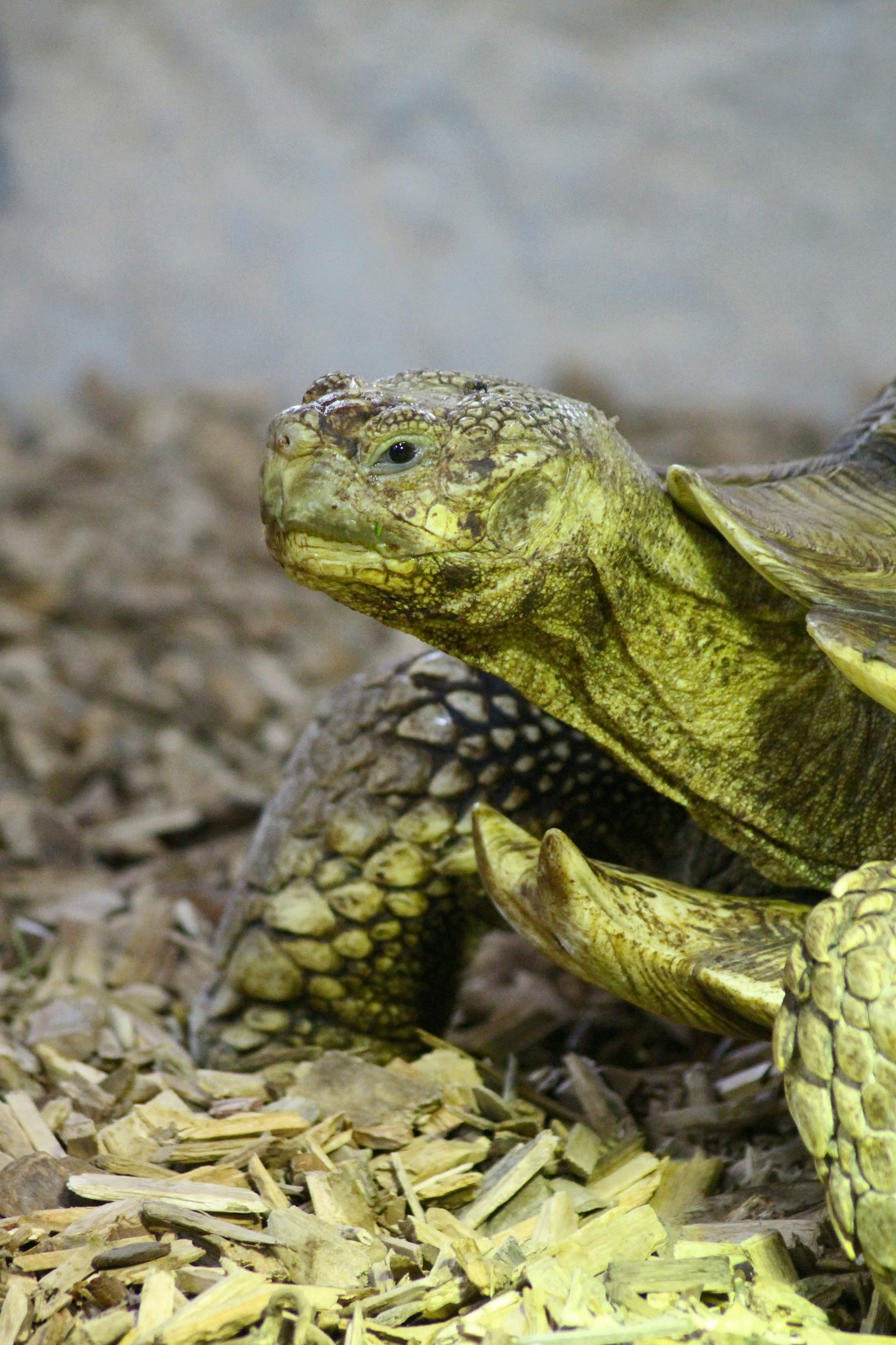 Photo n° 3 de l'avis de Aurore.u fait le 17/08/2020 à 07:24