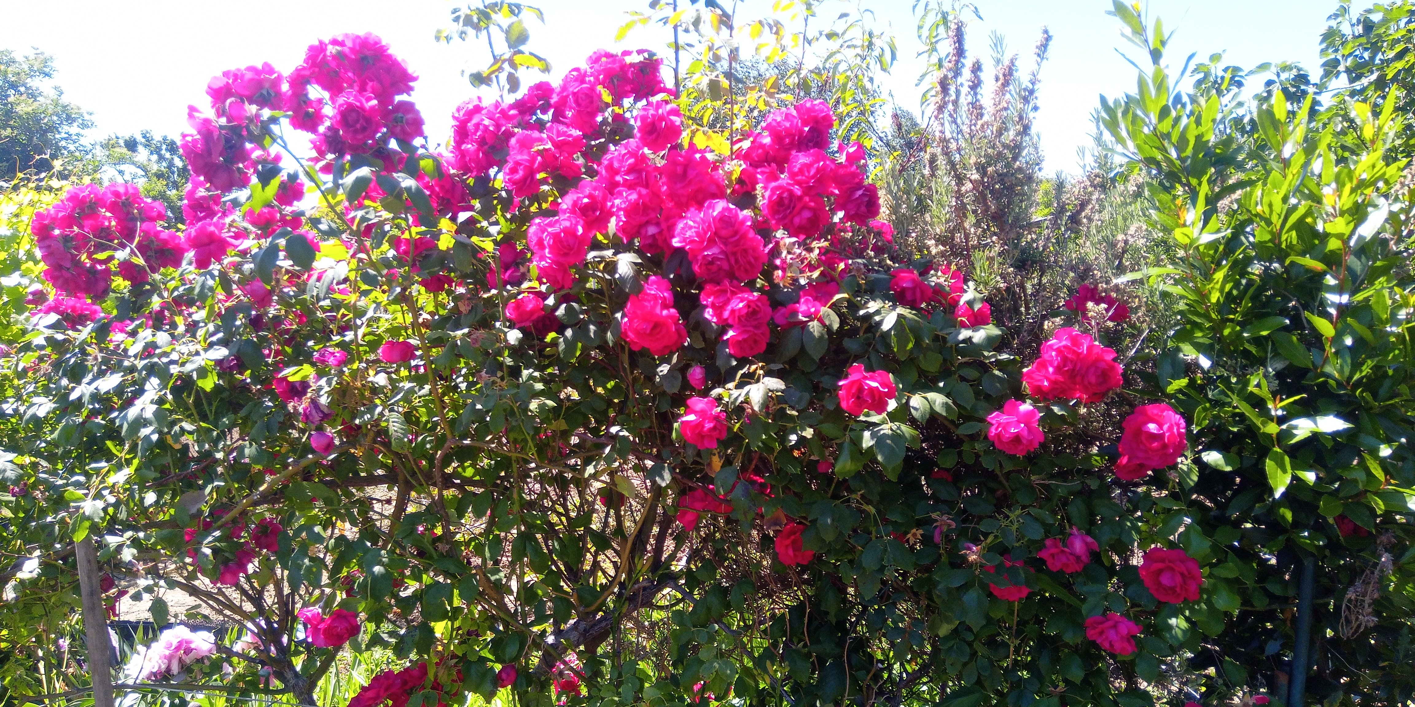 Photo n° 2 de l'avis de Didier.a fait le 29/05/2020 à 14:18
