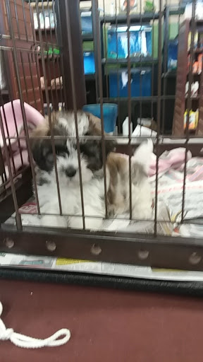 Pet Store «Pets Plus», reviews and photos, 454 TN-46, Dickson, TN 37055, USA