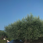 Photo n°1 de l'avis de Mario.a fait le 24/07/2023 à 13:57 sur le  Acquarello à Lapedona