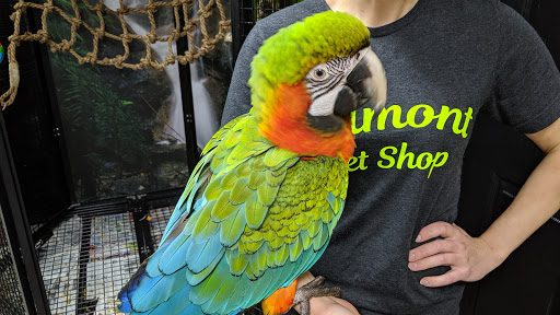 Pet Store «Belmont Pet Shop», reviews and photos, 17 Flett Rd, Belmont, MA 02478, USA