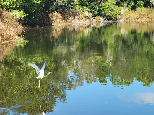 Park «Eagle Lake Park», reviews and photos, 1800 Keene Rd, Largo, FL 33771, USA