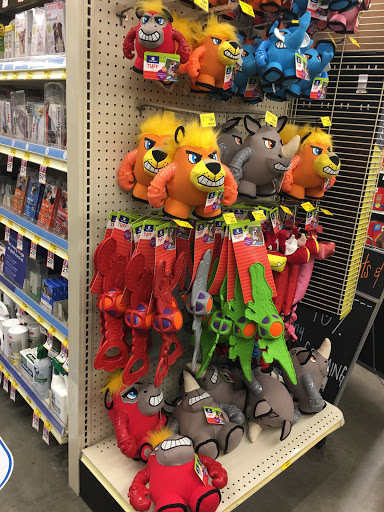 Pet Supply Store «PetSmart», reviews and photos, 13764 W Bell Rd, Surprise, AZ 85374, USA