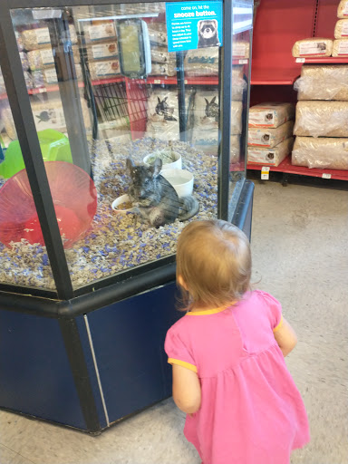 Pet Supply Store «Petco Animal Supplies», reviews and photos, 3731 Gateway Dr, Eau Claire, WI 54701, USA