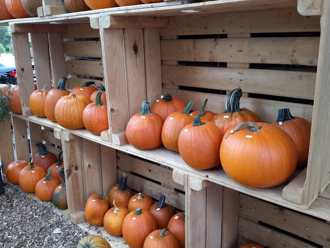 Obstgarten, Buurelädeli, Stallbar, Kürbisausstellung - Supermarkt