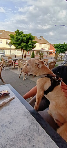 Etgeton Pico Bello Hundesalon unter Ladbergen, 