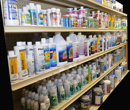 Tropical Fish Store «Lovely Pets Aquarium Store», reviews and photos, 69 Parkingway, Quincy, MA 02169, USA