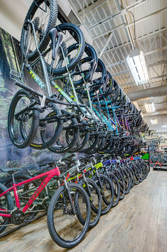Bicycle Store «Elevation Cycles», reviews and photos, 2030 E County Line Rd, Highlands Ranch, CO 80126, USA