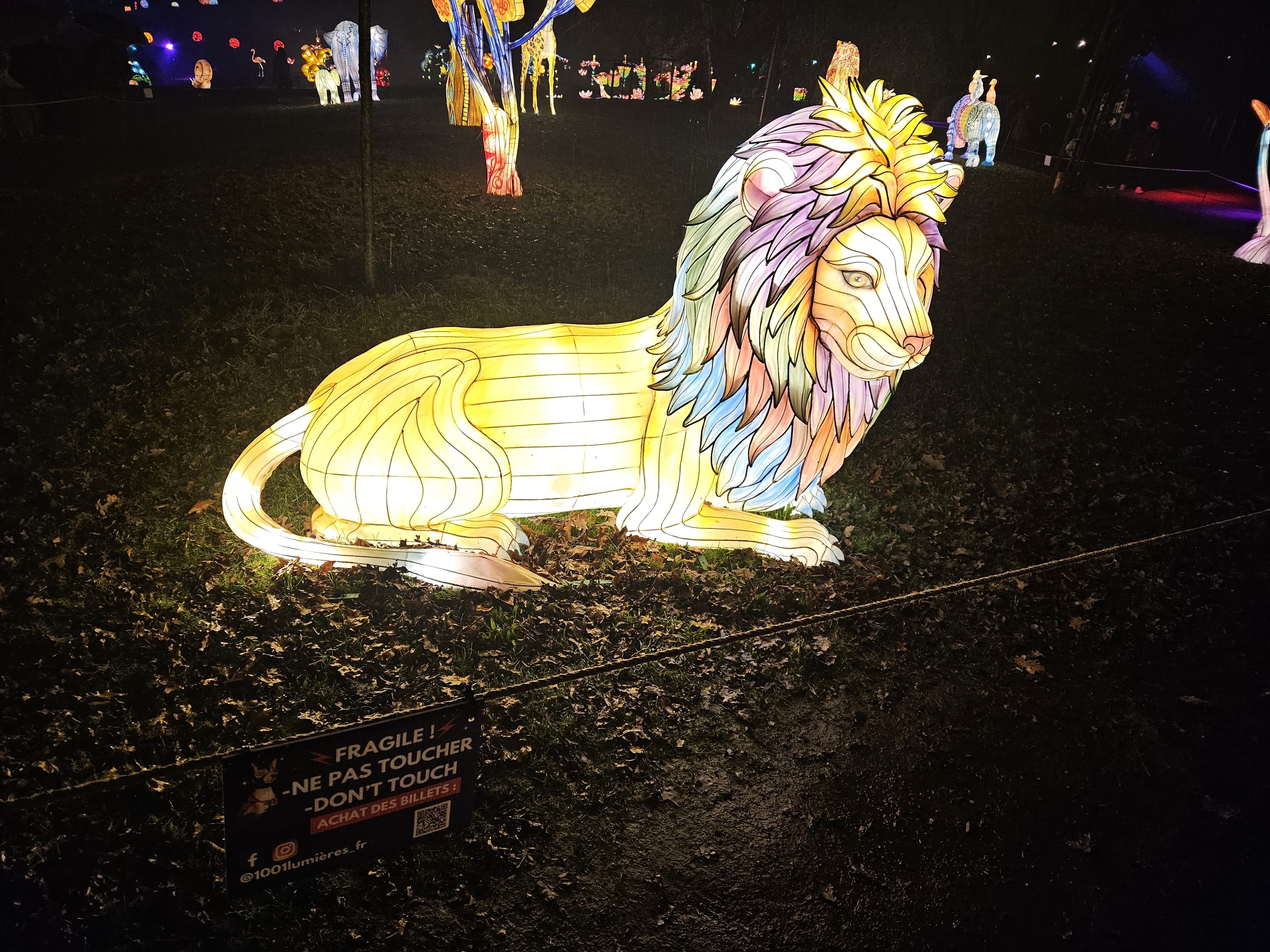 Photo n° 5 de l'avis de Virginie.e fait le 19/12/2023 à 21:09