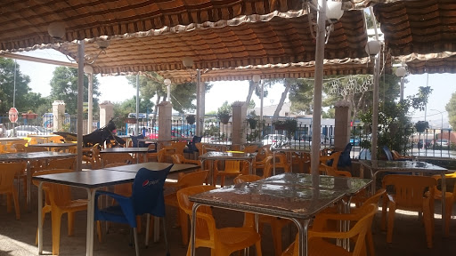 Pinos en Gilena