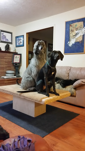 Pet Groomer «B-I-S Pet Grooming», reviews and photos, 5670 Main St, Springfield, OR 97478, USA