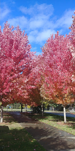 Park «Hillsboro parks and Recreation», reviews and photos, 300 NE 53rd Ave, Hillsboro, OR 97124, USA