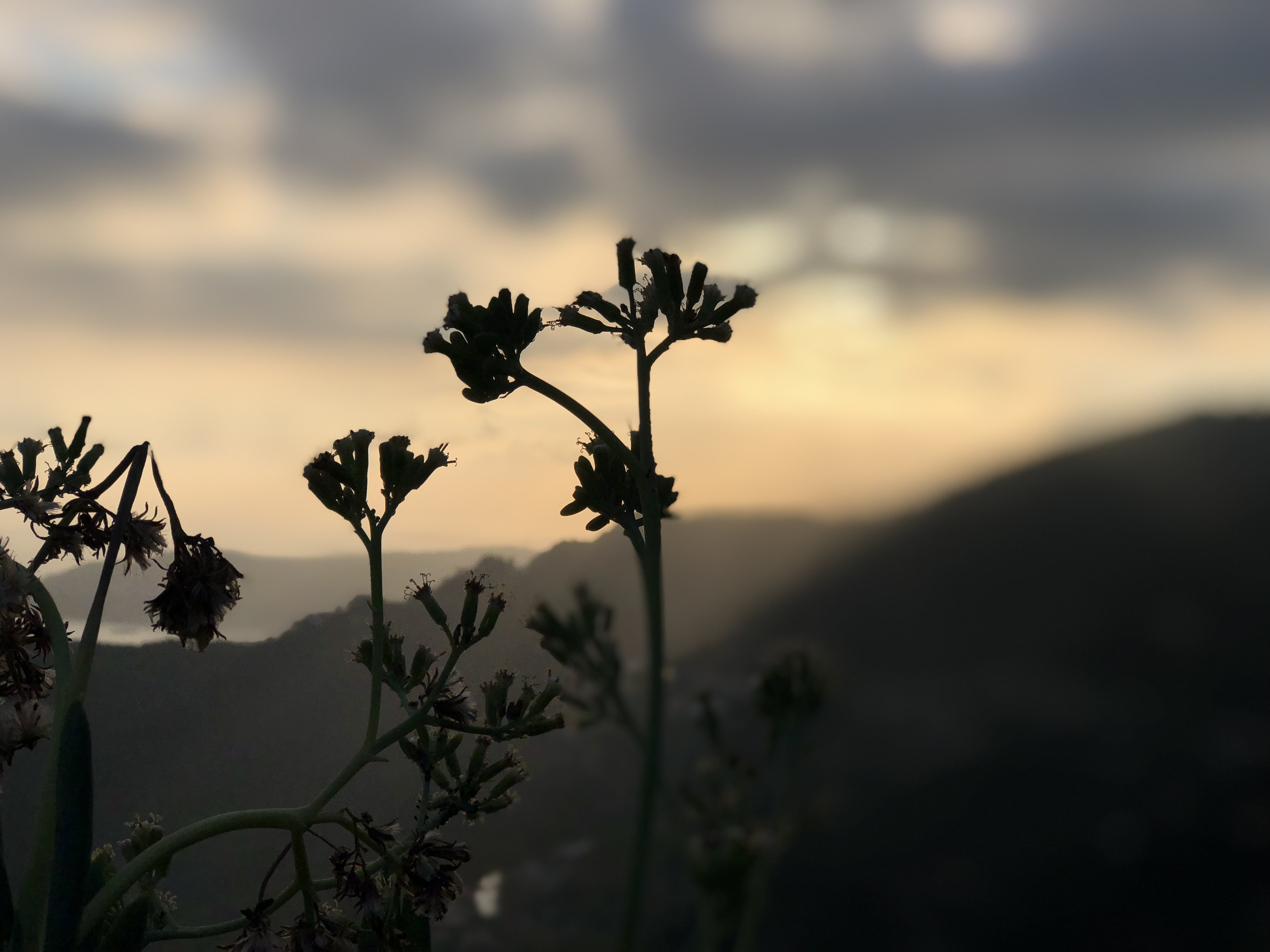 Photo n° 9 de l'avis de Grégory.R fait le 29/10/2018 à 10:14