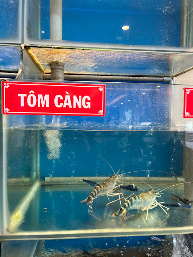 Top 20 chính sách cửa hàng Quận 5 Hồ Chí Minh 2022