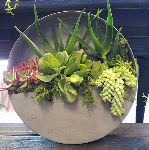 Florist «Enchanted Florist & Gifts», reviews and photos, 9140 Alcosta Blvd B, San Ramon, CA 94583, USA