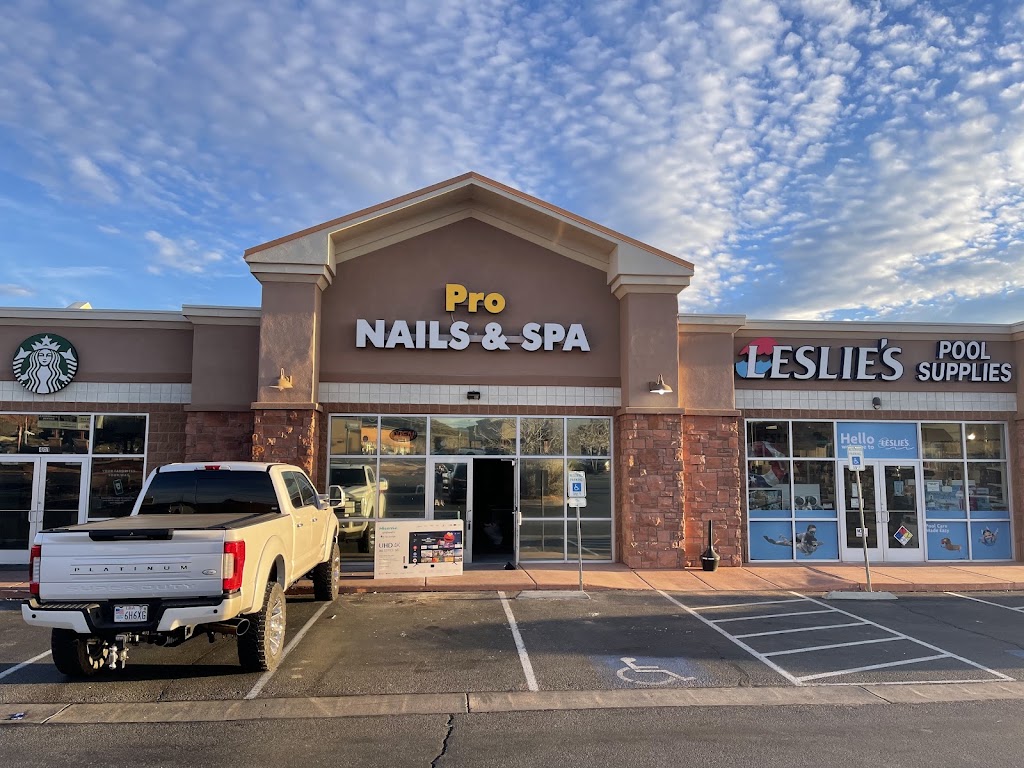 Pro Nails & Spa 84770