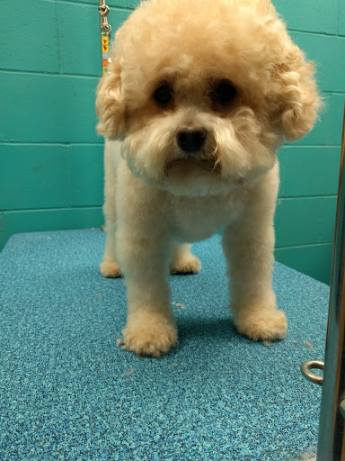 Pet Supply Store «Bubbles2biscuits», reviews and photos, 21897 S Diamond Lake Rd, Rogers, MN 55374, USA