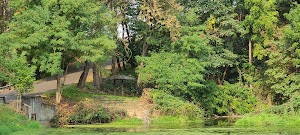 Canby Pond - photo 19