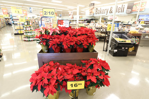 Grocery Store «Food Lion», reviews and photos, 1312 S Main St #4, Mt Airy, MD 21771, USA