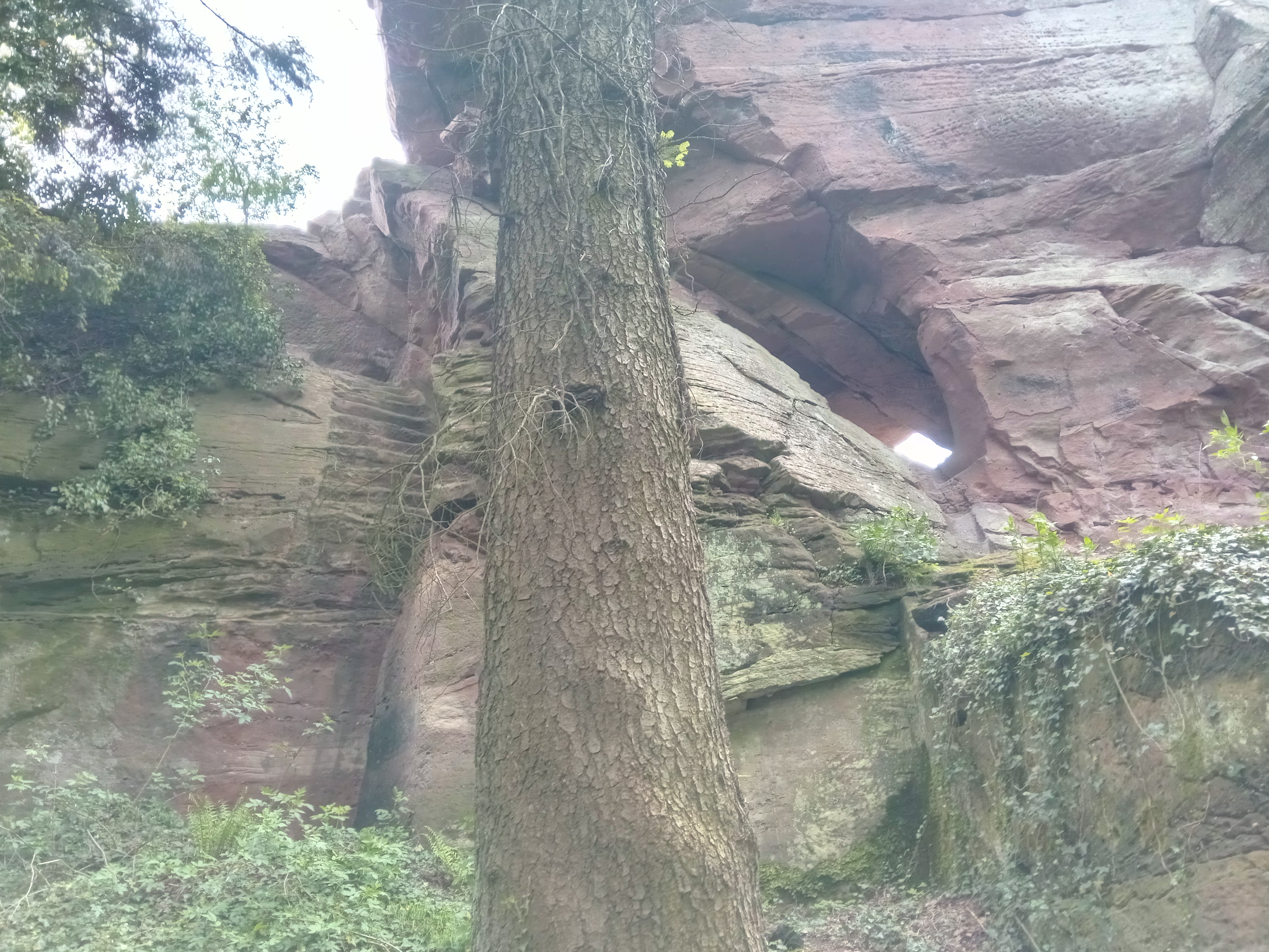 Photo n° 21 de l'avis de Ives.e fait le 03/05/2019 à 12:37