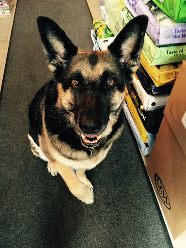 Pet Supply Store «theDogWorks/cats2», reviews and photos, 195 Thurman Ave, Columbus, OH 43206, USA