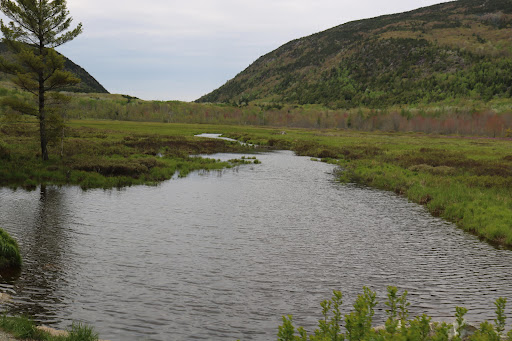 Sightseeing Tour Agency «Acadia National Park Tours», reviews and photos, 53 Main St, Bar Harbor, ME 04609, USA