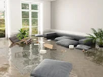 Water Damage 954 - Car repair in Pompano Beach, FL, Pompano Beach - Rated 5.0/5