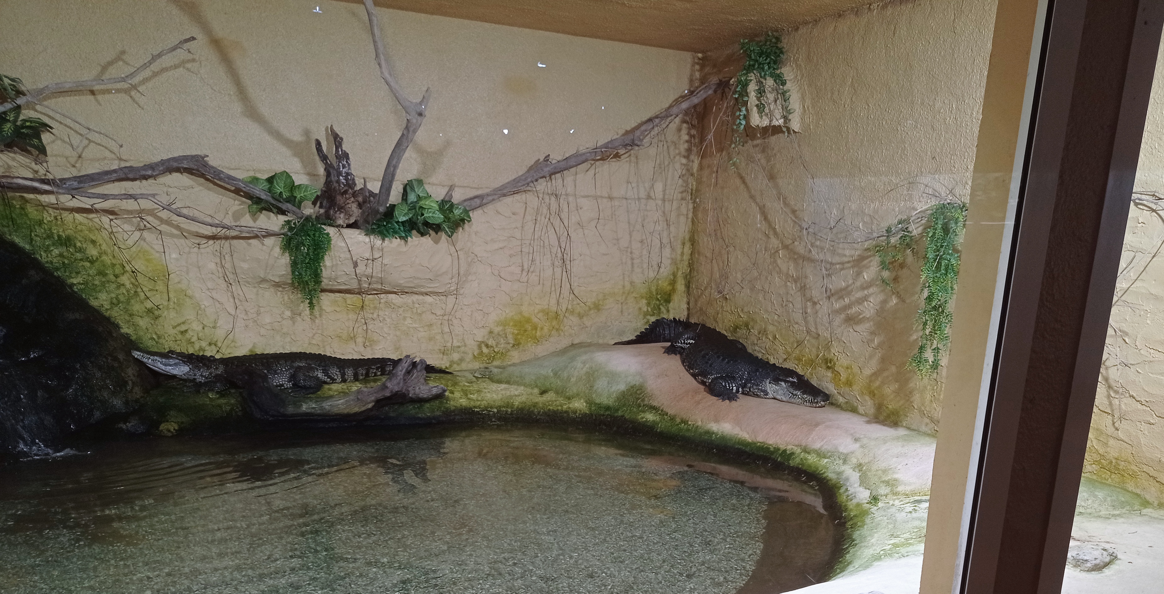 Photo n° 1 de l'avis de F... fait le 16/07/2022 à 11:53