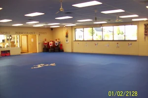 Adirondack Taekwondo & Fitness Center, Inc image
