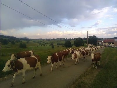 GAEC du Noirmont à Les Rousses