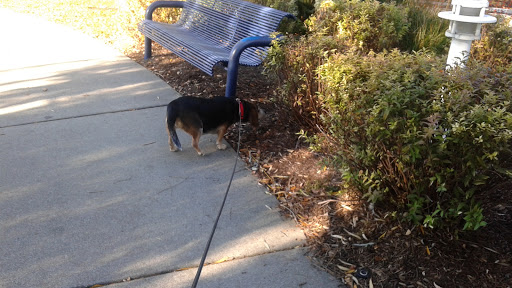 Park «Wahby Park», reviews and photos, 24800 Jefferson Ave, St Clair Shores, MI 48080, USA