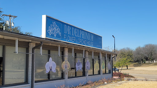 Florist «Dr Delphinium Flower & Orchid House», reviews and photos, 513 W Campbell Rd, Richardson, TX 75080, USA