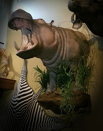 Taxidermist «HighPoint Taxidermy And Outfutters», reviews and photos, 14860 OH-13, Thornville, OH 43076, USA