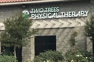 Two Trees Physical Therapy image